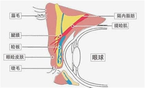 翘睫美瞳术：隐痕翘睫 灵动自然—尽显明眸善睐 知乎