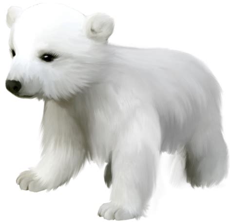 Cute Polar Bear Clipart