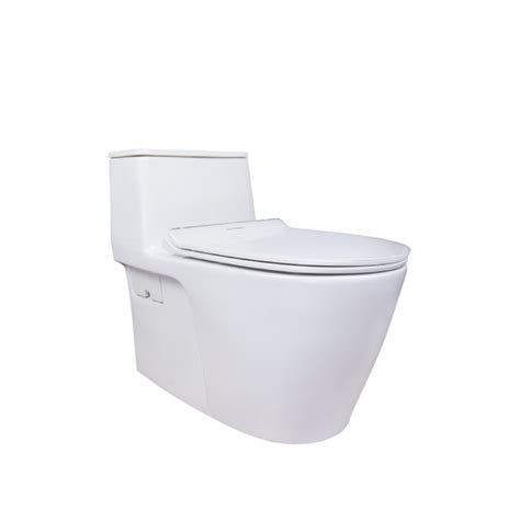 American Standard One Piece Toilet Bowl Acacia SupaSleek CL20075