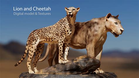 Lion and Cheetah - Digital model and Textures - ZBrushCentral