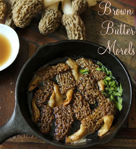 Morel Mushrooms Recipe