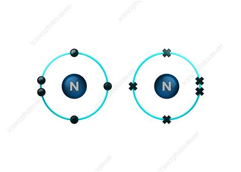 Bond formation in nitrogen molecule - Stock Image - C028/6484 - Science ...