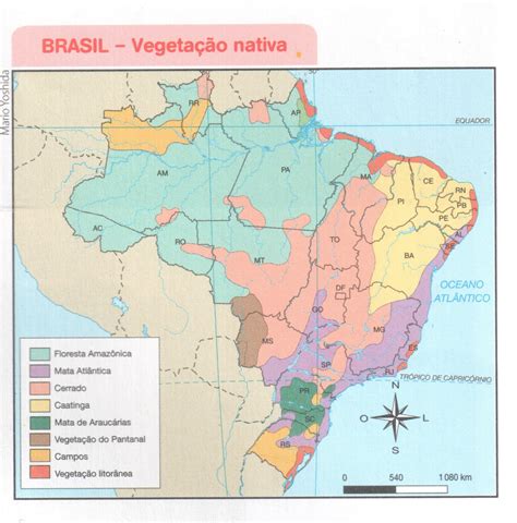 Colégio Autêntico: A relação entre clima e vegetação 