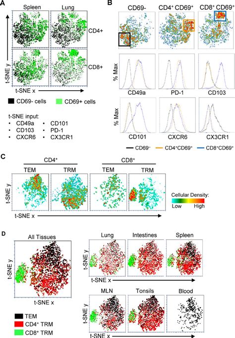 Trm Are A Phenotypically Distinct Subset Across Multiple Tissues Download Scientific Diagram