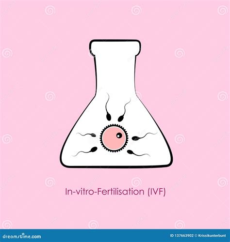 In Vitro Fertilization Ivf Ovum Egg And Sperm In The Test Tube Stock