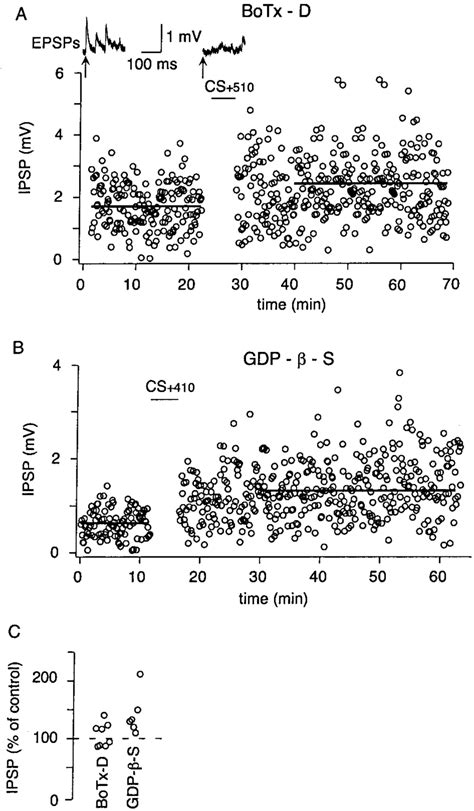 Antagonists Of Exocytosis Do Not Affect The Induction Of Ltp A Ltp Of Download Scientific