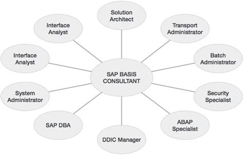 What Are The Roles And Responsibilities Of Sap Basis Consultant