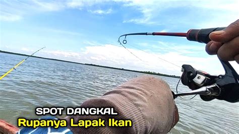 Siapa Sangka Mancing Di Muara Ini Bisa Buat Reelku Menjerit Lagi