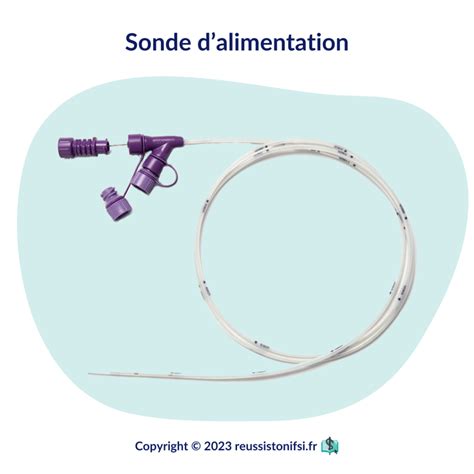 Guide Infirmier La Sonde Nasogastrique Sng R Ussis Ton Ifsi