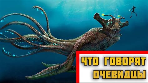 Океанские «Квакеры»: вопросы без ответов! Загадочные обитатели морских ...