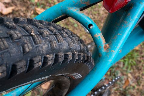 The New Maxxis Forekaster Rolls Into Downcountry Territory Review