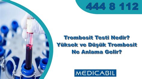 Blog Trombosit Testi Nedir Yüksek ve Düşük Trombosit Ne Anlama Gelir