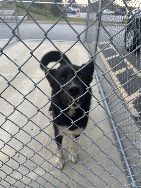 This guy was found... - Scarborough Maine Police Department
