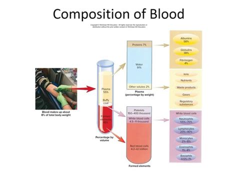 Blood Flashcards Quizlet