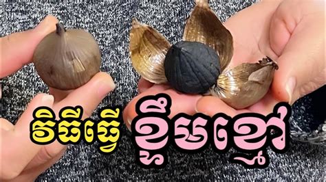 How To Make Black Garlic Youtube