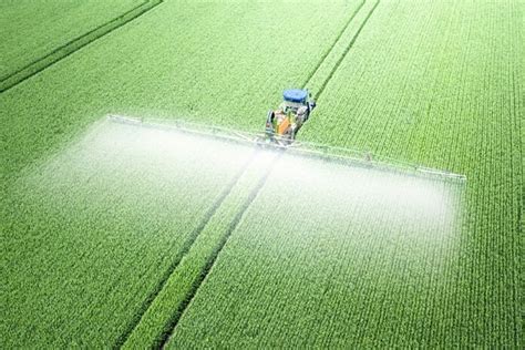 Что такое фунгицид: принцип действия и эффект | Agrimatco