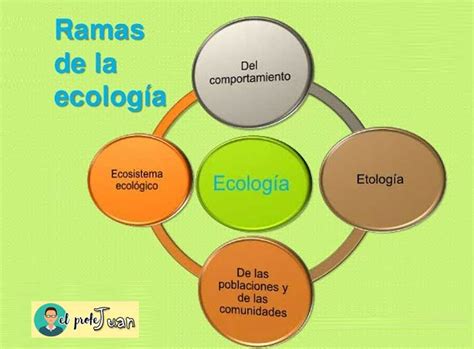 Conoce Las Ramas De La Ecolog A Y Qu Estudianel Profe Juan