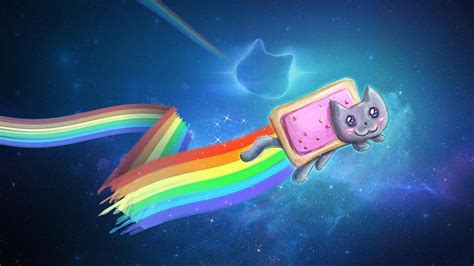 Nyan cat, tacocat HD wallpaper | Pxfuel