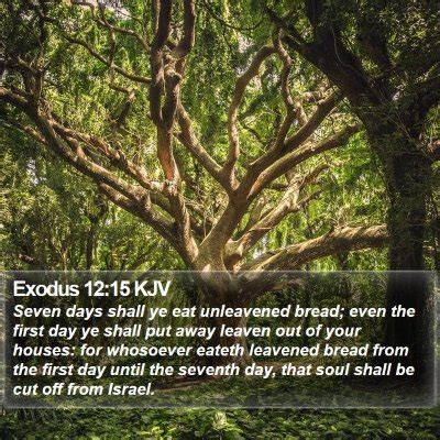 Exodus 12 Scripture Images - Exodus Chapter 12 KJV Bible Verse Pictures