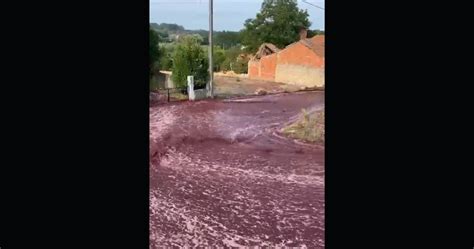 J Alguma Vez Viu Uma Rua Inundada De Vinho Aconteceu Em Portugal