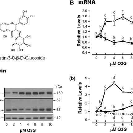 A Structure Of Q G Bc Q G Effects On The Levels Of Ldlr And Pcsk