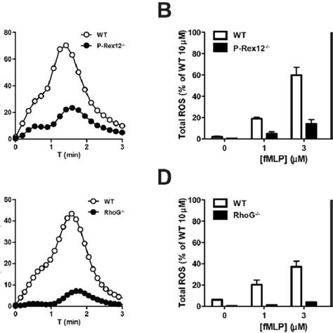 RhoG and P-Rex regulate Rac activity driven by low doses of agonist in ... 