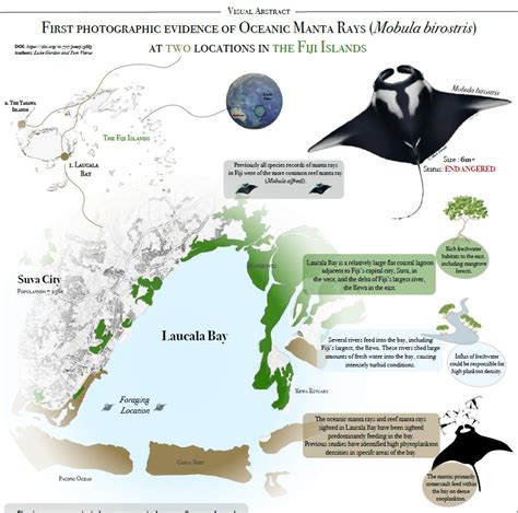 Shark Education On Twitter SharkScienceSunday A New Study With Manta