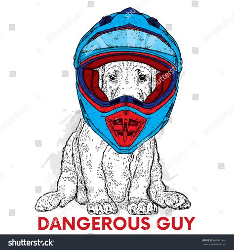 Funny Dog Motorcycle Helmet Vector Illustration Stock Vector (Royalty Free) 669441841 | Shutterstock