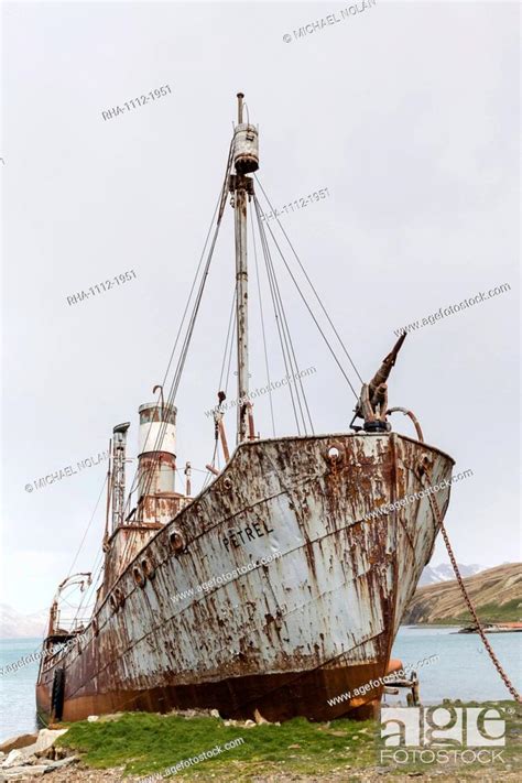 The Whale Catcher Ship Petrel On Display At The Abandoned And Recently