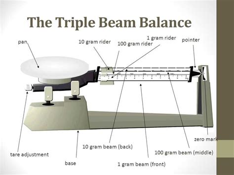 Mastering Measurement Answers To Measuring Mass With A Triple Beam