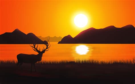 Deer Sunset Wallpapers - Top Free Deer Sunset Backgrounds - WallpaperAccess