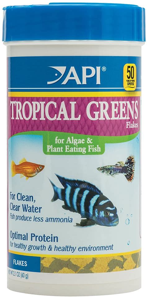 The Best Flake Food For Tropical Fish Pet Food Guide