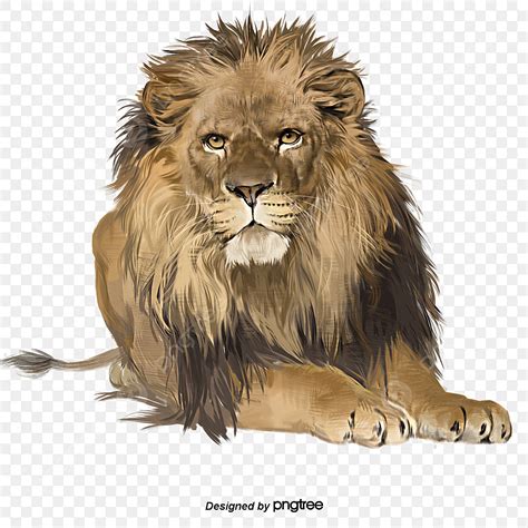 Lion King PNG Picture, Hand Painted Elements Of Male Lions Majestic ...