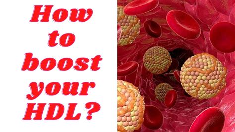 How To Boost Your Hdl Good Cholesterol Youtube Cholesterol