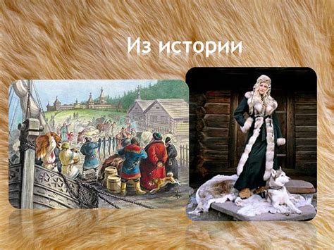 Пушное звероводство - презентация онлайн