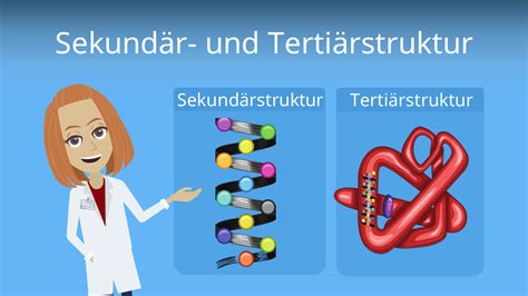 Tertiärstruktur • Bindungsarten Und Beispiele · Mit Video