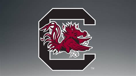 Download University Of South Carolina Logo Wallpaper | Wallpapers.com