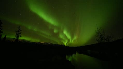 Aurora Borealis in the sky in Yukon Territory, Canada image - Free ...