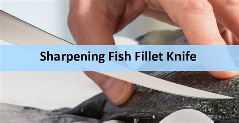 How To Sharpen A Fillet Knife Correctly With Videos