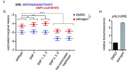 Continued Tert Promoter Activity Upon Myc And Or Ets2 Silencing And