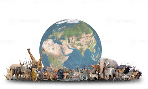 Earth With Animals Stock Photos Images And Backgrounds For Free Download