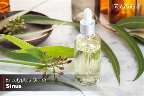 Eucalyptus Oil For Sinus Congestion Benefits And How To Use Vedaoils