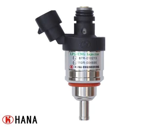 Hana Gas Engine Parts Cng Lpg Rail Type Injector Cyl Cyl H