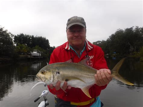 What Is The Best Siesta Key Fishing Charter Fishing With Capt Jim