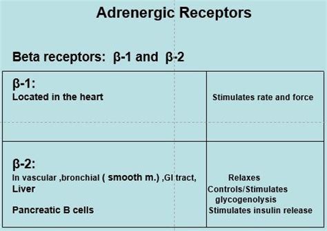 Anti Arrhythmic Drugs Flashcards Quizlet