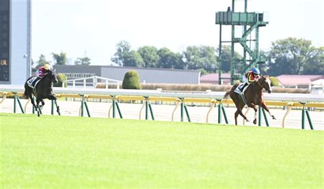 【pog】2歳戦独断評価 血統も馬体もスケール大！デンクマールが快勝発進（デイリースポーツ） Yahooニュース