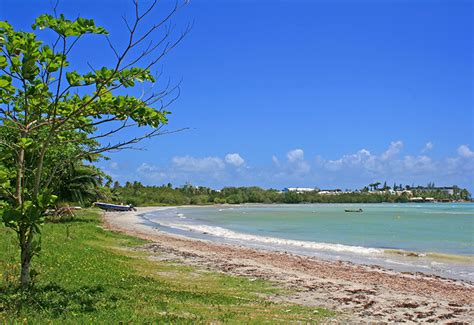 Quartier De Grand Baie Le Gosier Guadeloupe Tourisme