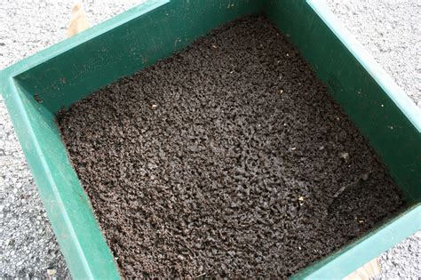 worm poop