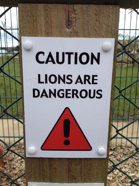 20+ Signs That Humanity Is Devolving