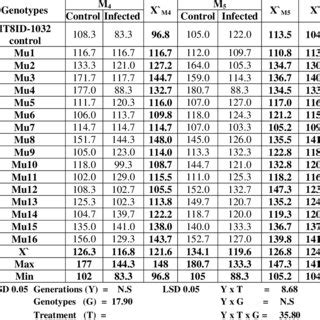 Plant Height Cm Of Sixteen Cowpea Mutants And Their Parent